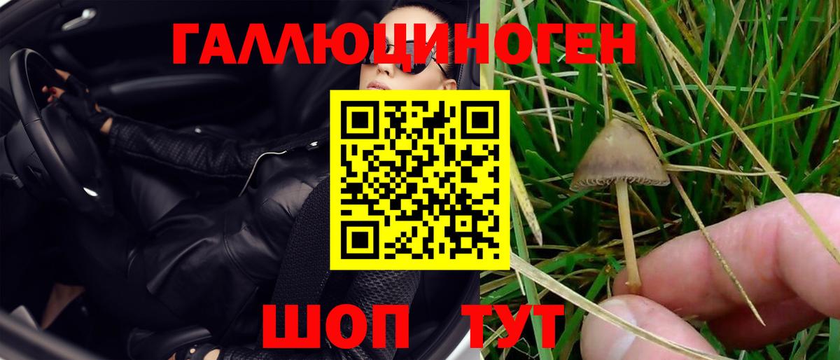Галлюциногенные грибы Magic Shrooms Гулькевичи